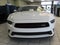 2025 Ford Mustang Saleen 302 White Label GT Coupe