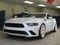 2025 Ford Mustang Saleen 302 White Label GT Coupe
